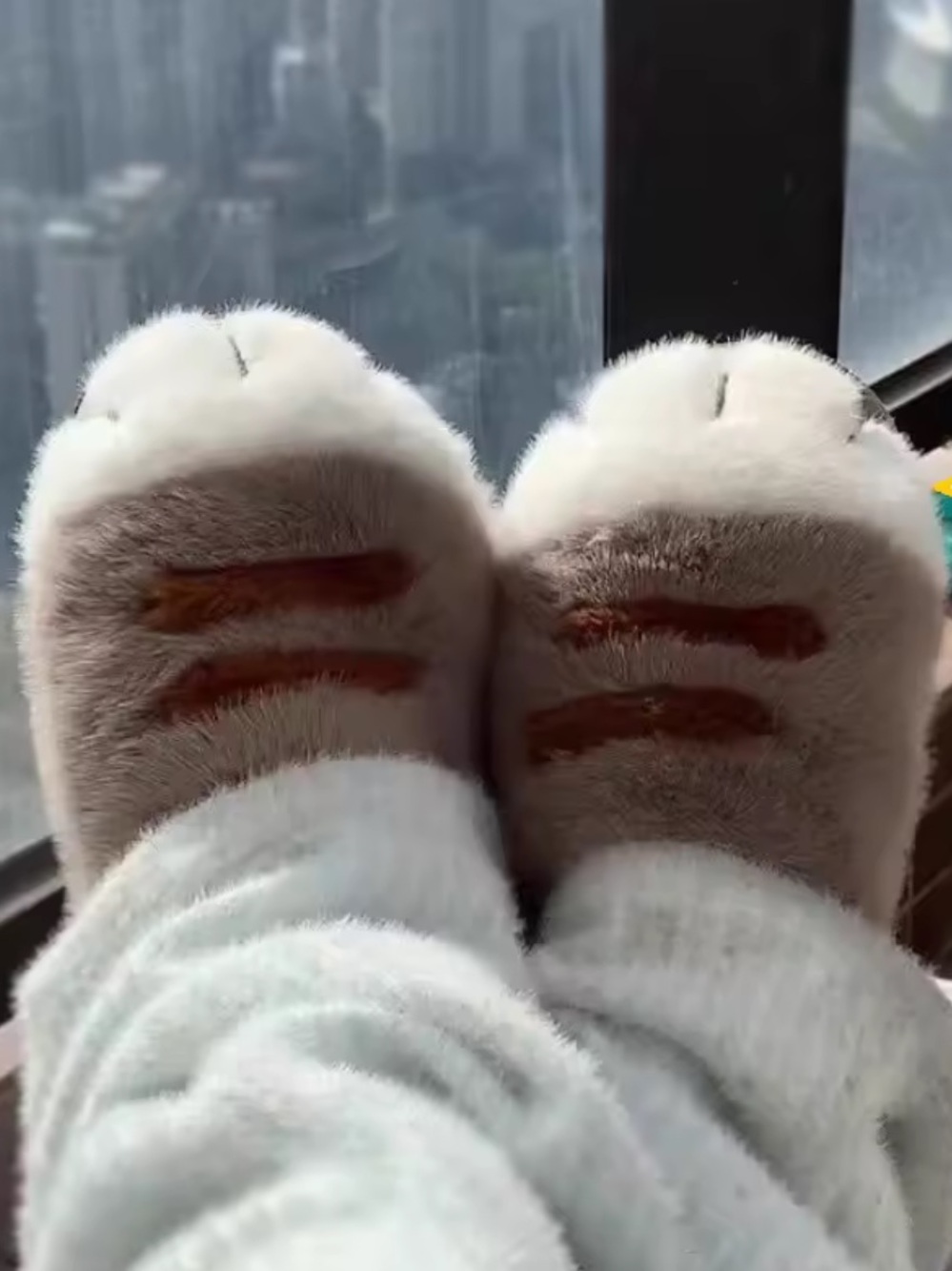 🆕 Women Cat Claw Slippers
